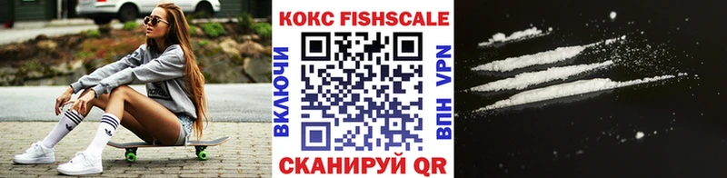 ссылка на мегу ТОР  Камышин  Cocaine FishScale 