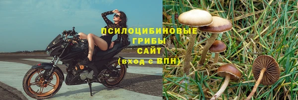 2c-b Карпинск