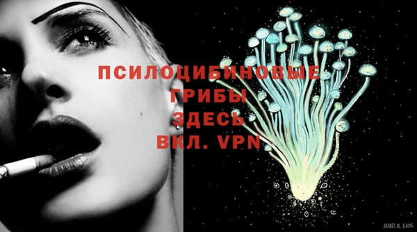 первитин Касимов