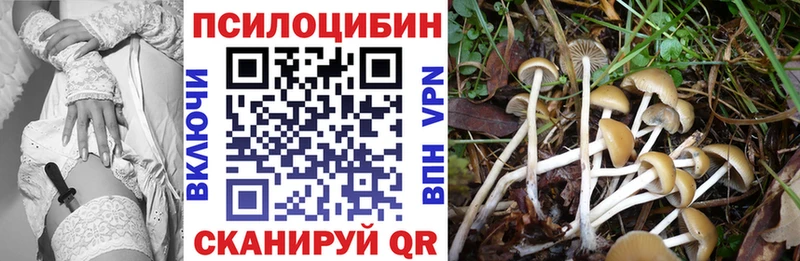 Галлюциногенные грибы мицелий  дарк нет как зайти  Камышин 