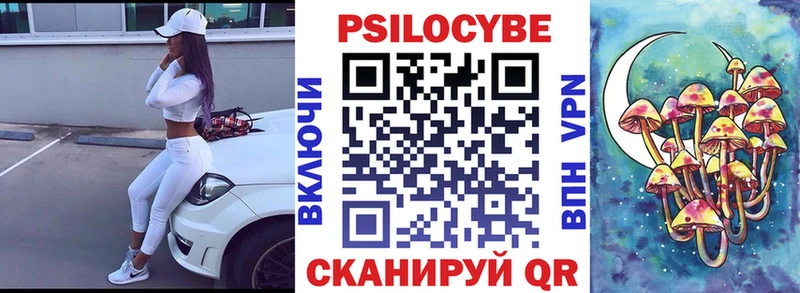 Галлюциногенные грибы Cubensis Камышин