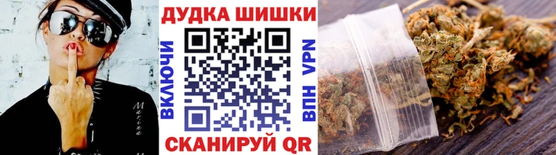 OMG   Камышин  Марихуана сатива  закладки 